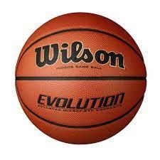 WILSON EVOLUTION INDOOR GAME BALL.